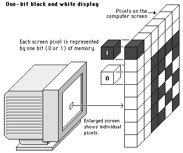 BW monitor