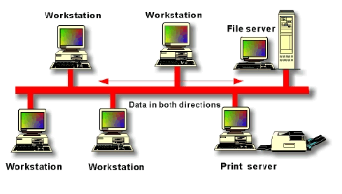 Bus Network
