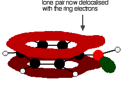 phenol after