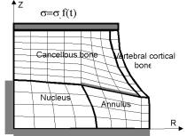 skeleton picture