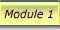 module1